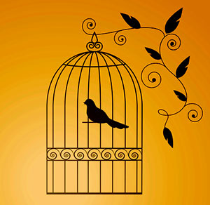 Canary in a cage