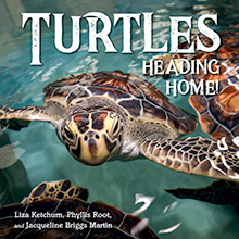 Turtles Heading Home!