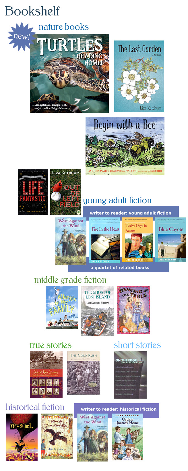 Liza Ketchum bookshelf