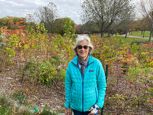 Liza Ketchum Miyawaki Forest Cambridge Massachusetts
